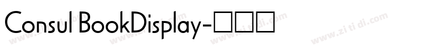 Consul BookDisplay字体转换